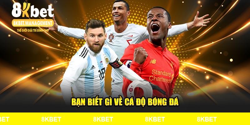 Bạn biết gì về cá độ bóng đá