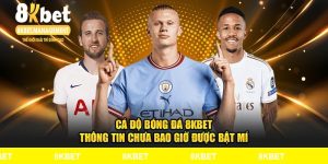 Cá Độ Bóng Đá 8kbet Thông Tin Chưa Bao Giờ Được Bật Mí