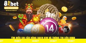 Tìm Hiểu Soi Cầu Rồng Bạch Kim Và Thông Tin Liên Quan